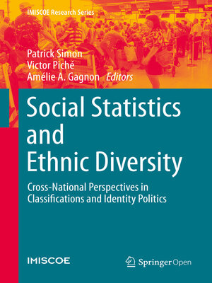 cover image of Social Statistics and Ethnic Diversity